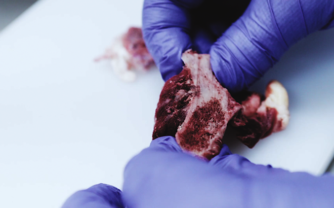 SensorX Magna meat inspection system detects bone and hard contaminants