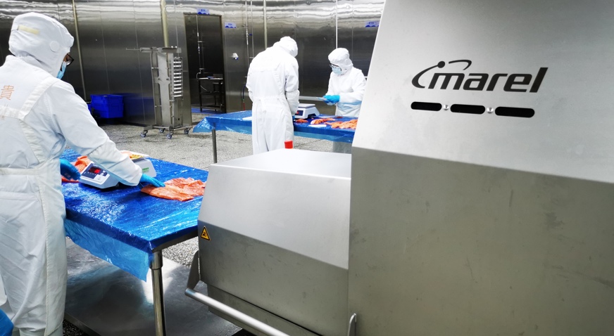Tianyun Builds New Brand Trout Fresh With Marel Automation