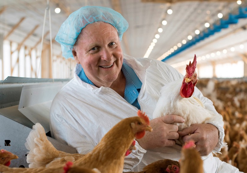 poultry traceability