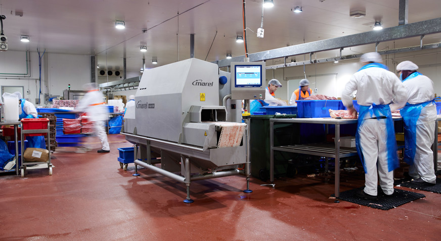 I-Cut 130 at Auspork pork processing facility