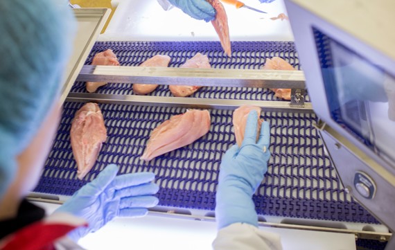 SensorX Poultry rework station, removing bone and other hard contaminants