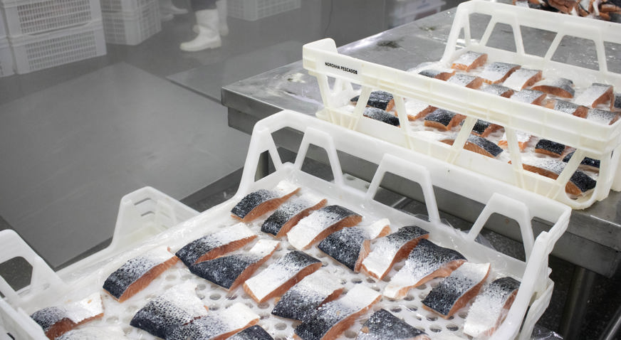 Salmon in crates