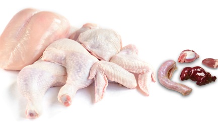 Équilibre des carcasses – un défi majeur pour l'industrie avicole