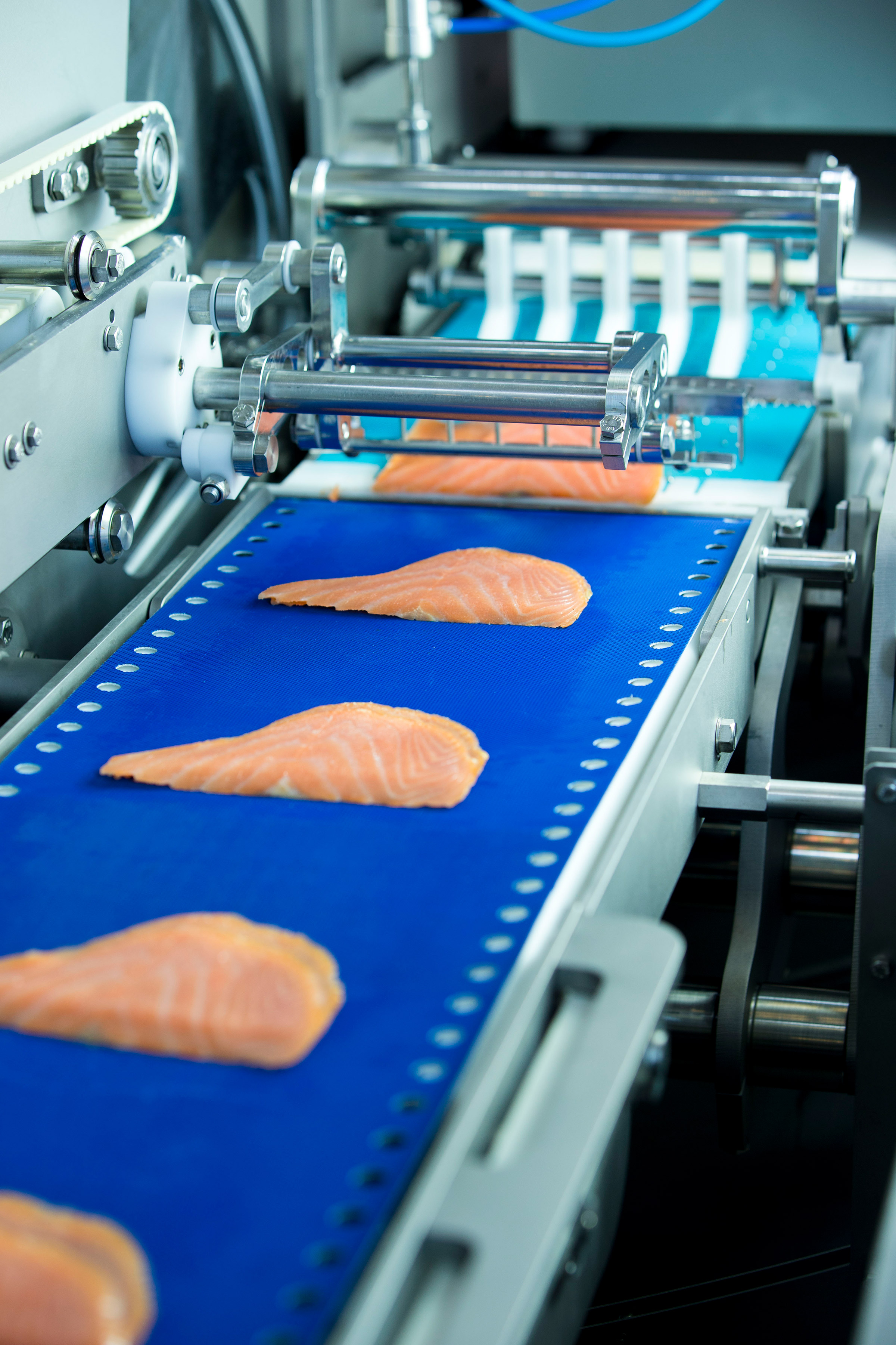 Salmon Slicing Process Solution