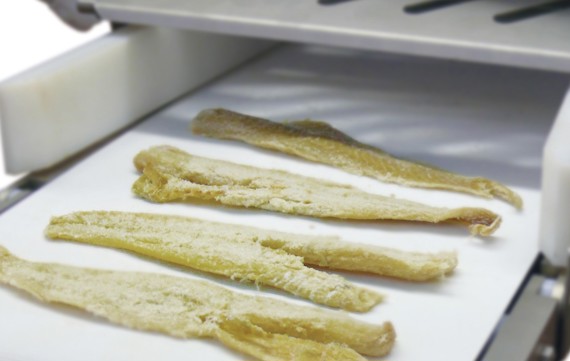 MAJA ESB 4434 SH circular blade cutter for portioning of salted cod