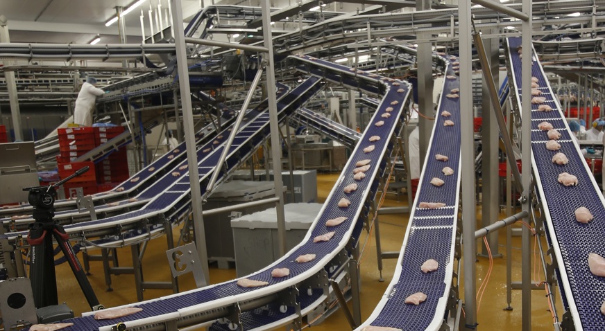 Systemflex Conveyor Belts Fillets