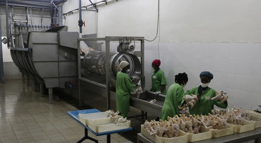 Empas Poultry Africa Gambia