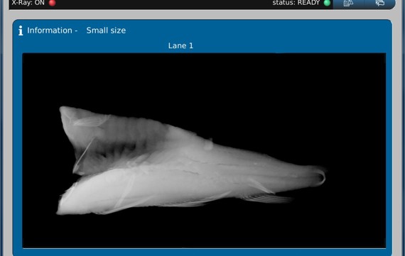 SensroX Fish provides bone detection capabilities that are unprecedented among automatic bone detection systems