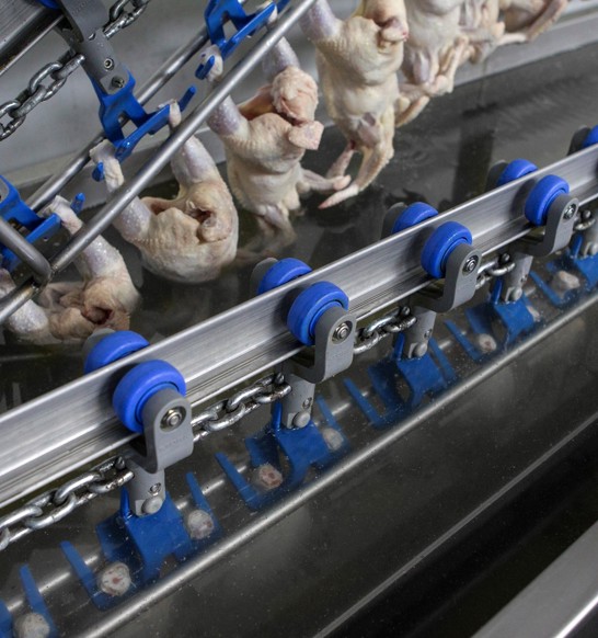 In-line Immersion Chiller poultry