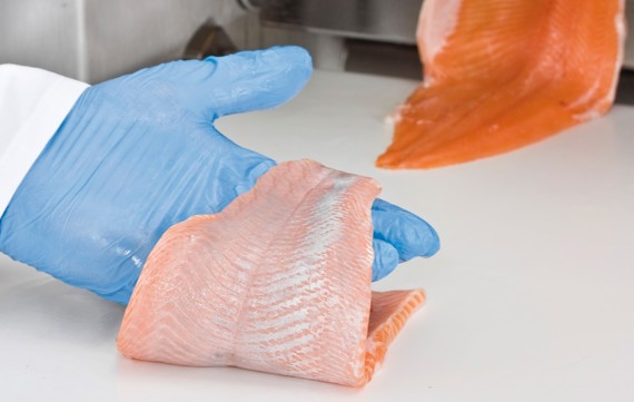 Salmon trout skinning