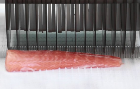 StripCutter salmon cutting