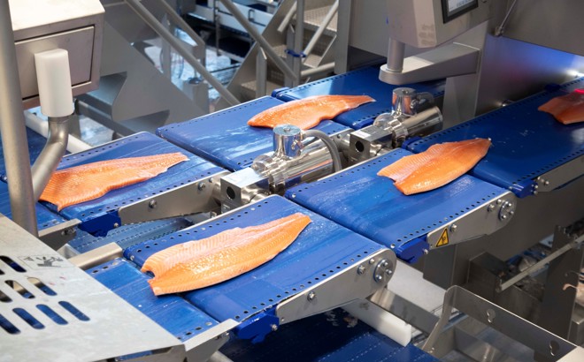 Leroey Midt Salmon Processing