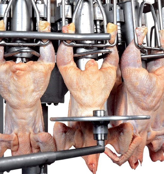 Automatic Fat Remover poultry