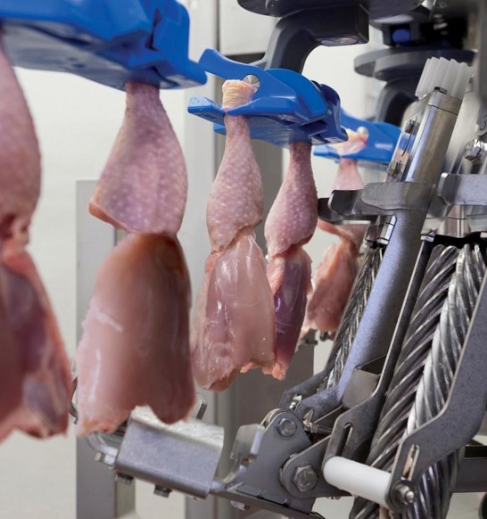 poultry-thigh-fillet-system.jpg