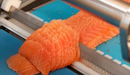 El Sushi Perfecto