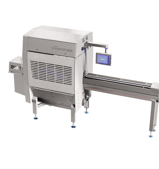 Fillexia Fish Filleting System