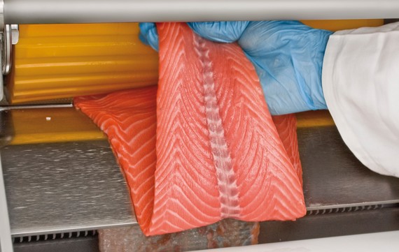 MAJA ESB 2P salmon fillet skinning