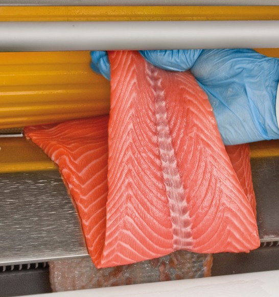 MAJA ESB 2P salmon fillet skinning