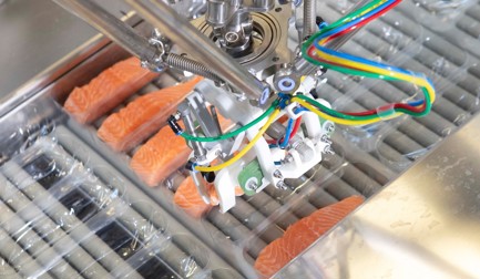 Модуль упаковки в термоупаковку RoboBatcher Thermoformer