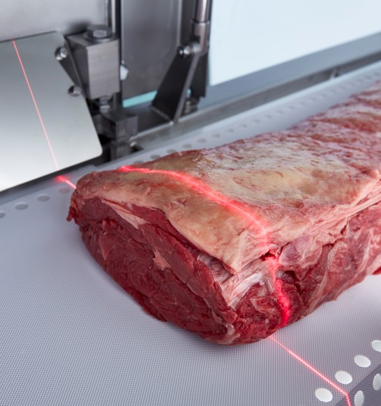 Beef-processing-industry-information