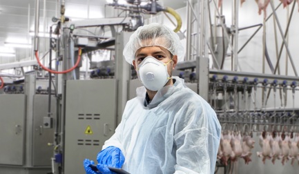 The near future of poultry processing