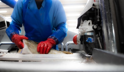 Dynamic filleting expands fish processing capabilities