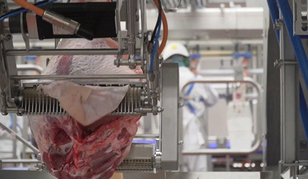 Top 7 benefits of automating pork cutting and deboning