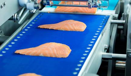 Salmon Slicing Process Solution