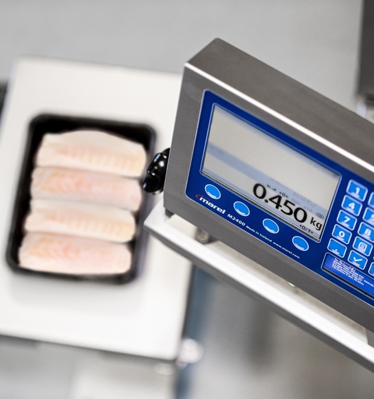Marel Scale For Fish Processing M1100