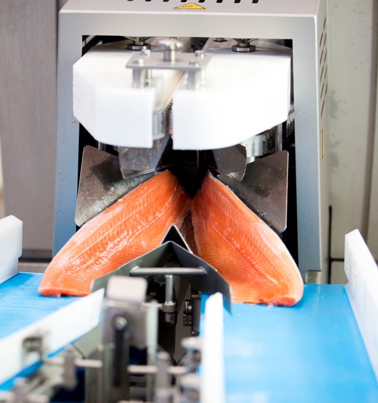 Secondary processing filleting
