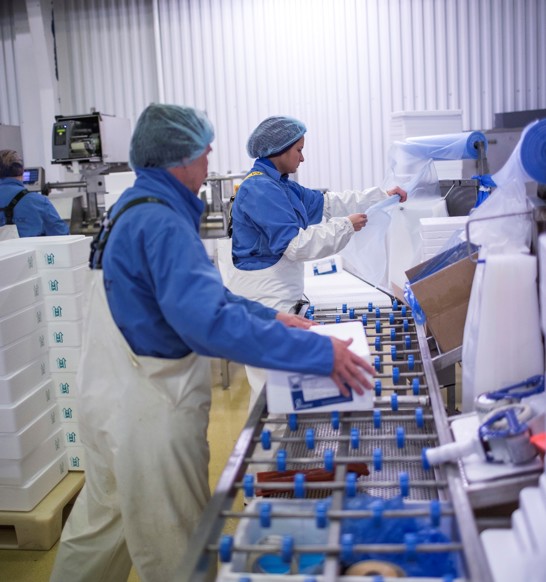 fish processing plant packing and labeling
