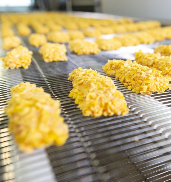 Convenience food coating line - crumbed chicken products