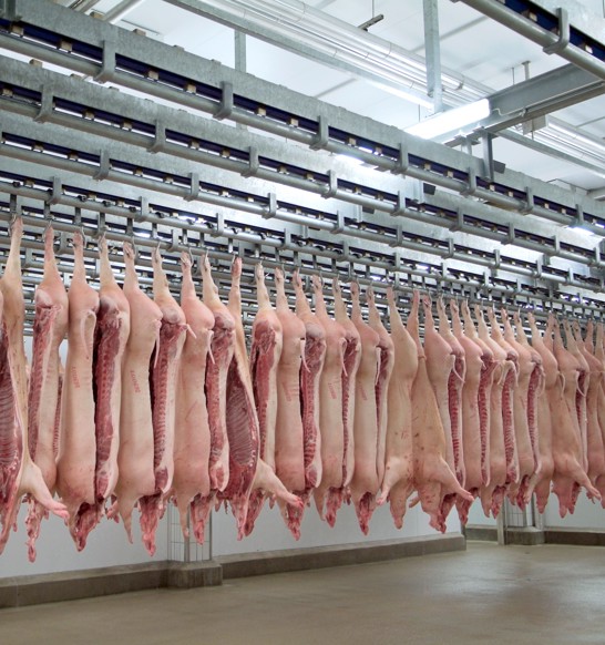 The pig processing plant