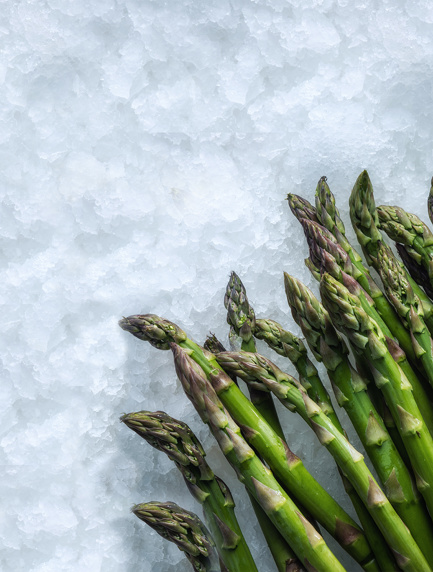MAJA Ice keeps asparagus fresh
