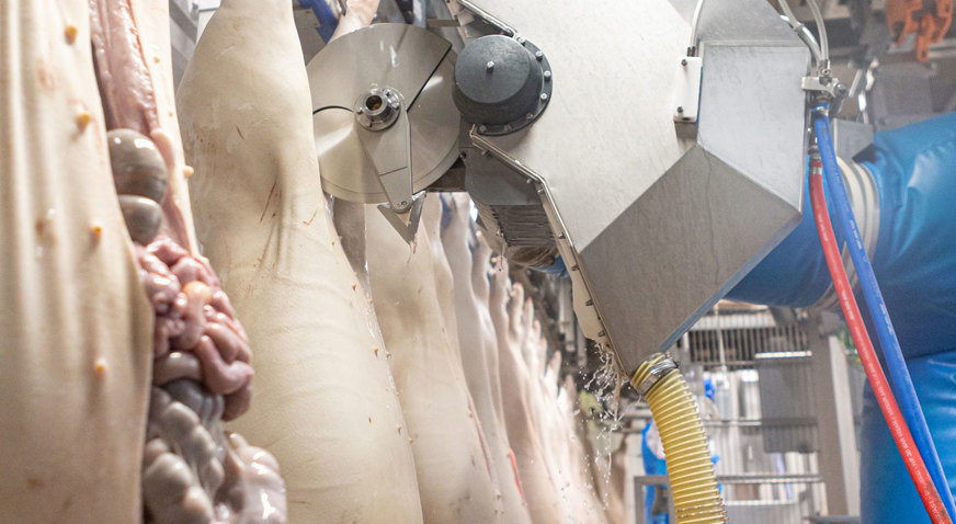 M-Line Pre-Cutter and Belly Opener (MPB)