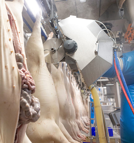 M-Line Pre-Cutter and Belly Opener (MPB)