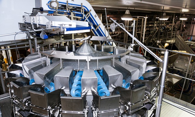 Multihead Weigher