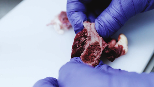 SensorX Magna meat inspection system detects bone and hard contaminants
