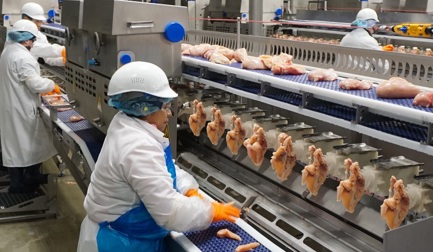 AMF-i – a melhor opção para processadores de aves bolivianos e colombianos