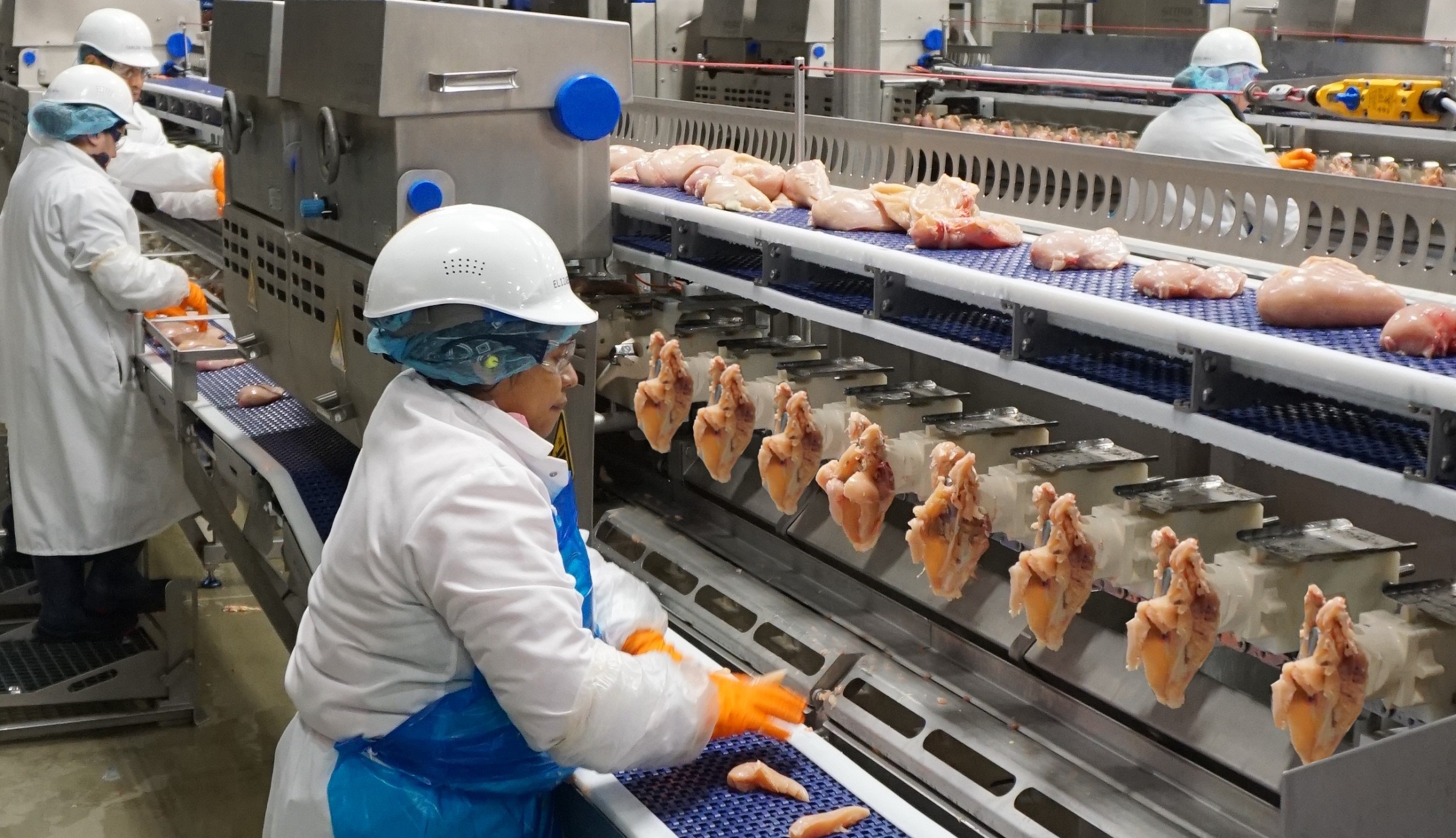 AMF-i - the best fit for Bolivian and Colombian poultry processors