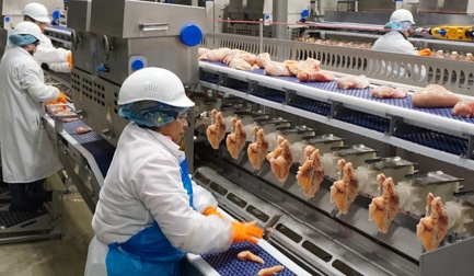 AMF-i - the best fit for Bolivian and Colombian poultry processors