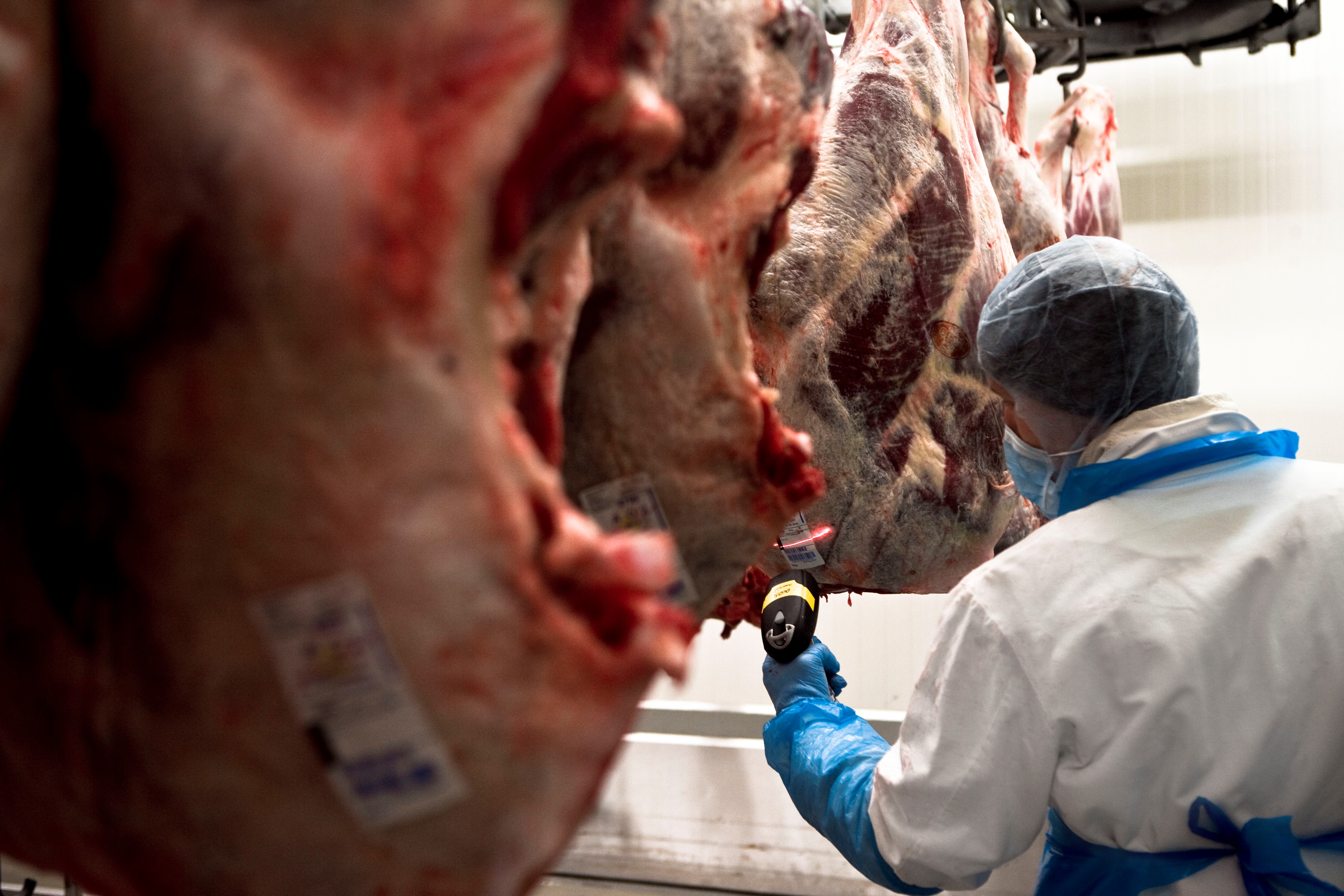 meat processing plant scanning