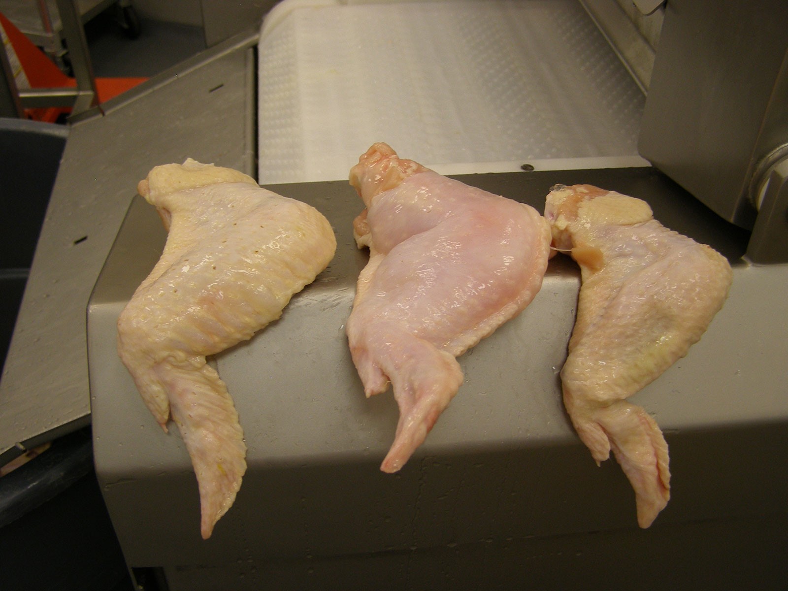 injecting-poultry.jpg