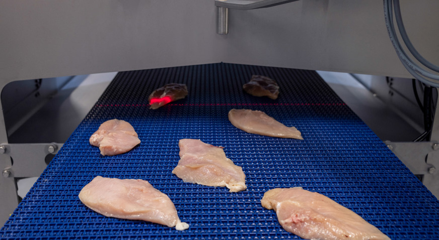 Robooptimizer Infeed Chicken Fillets