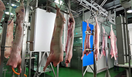 Elevating your meat processing with advanced grading solutions