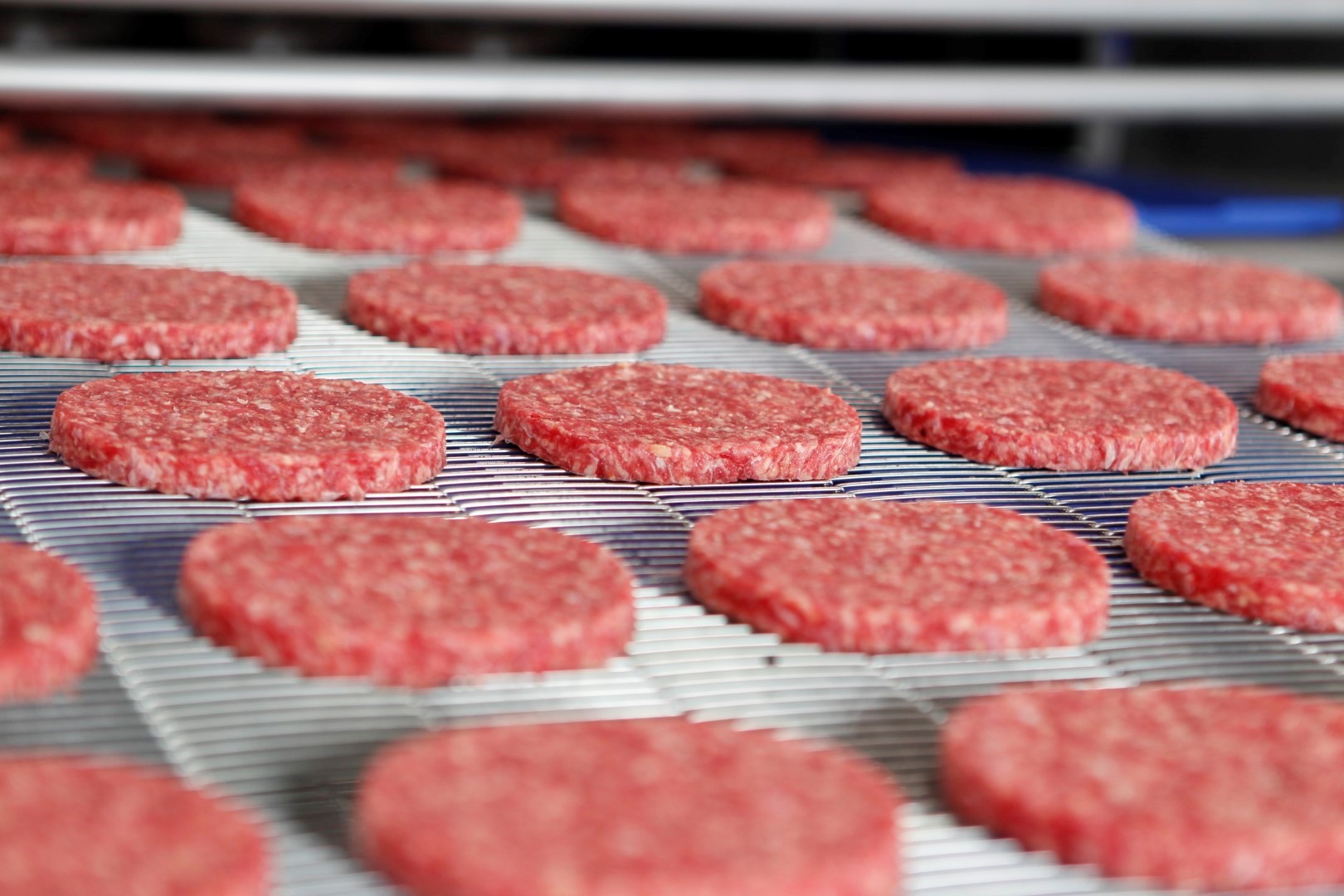 Línea de producción de carne picada para hamburguesas