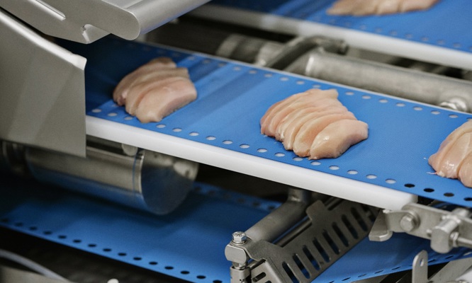 Porcionadora I-Cut 122 TrimSort