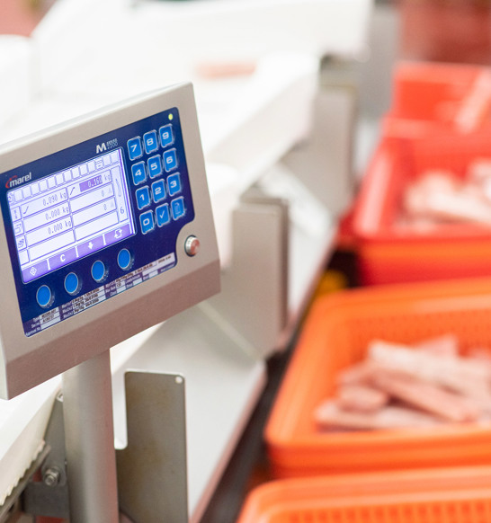 Squid Yield Software Solution