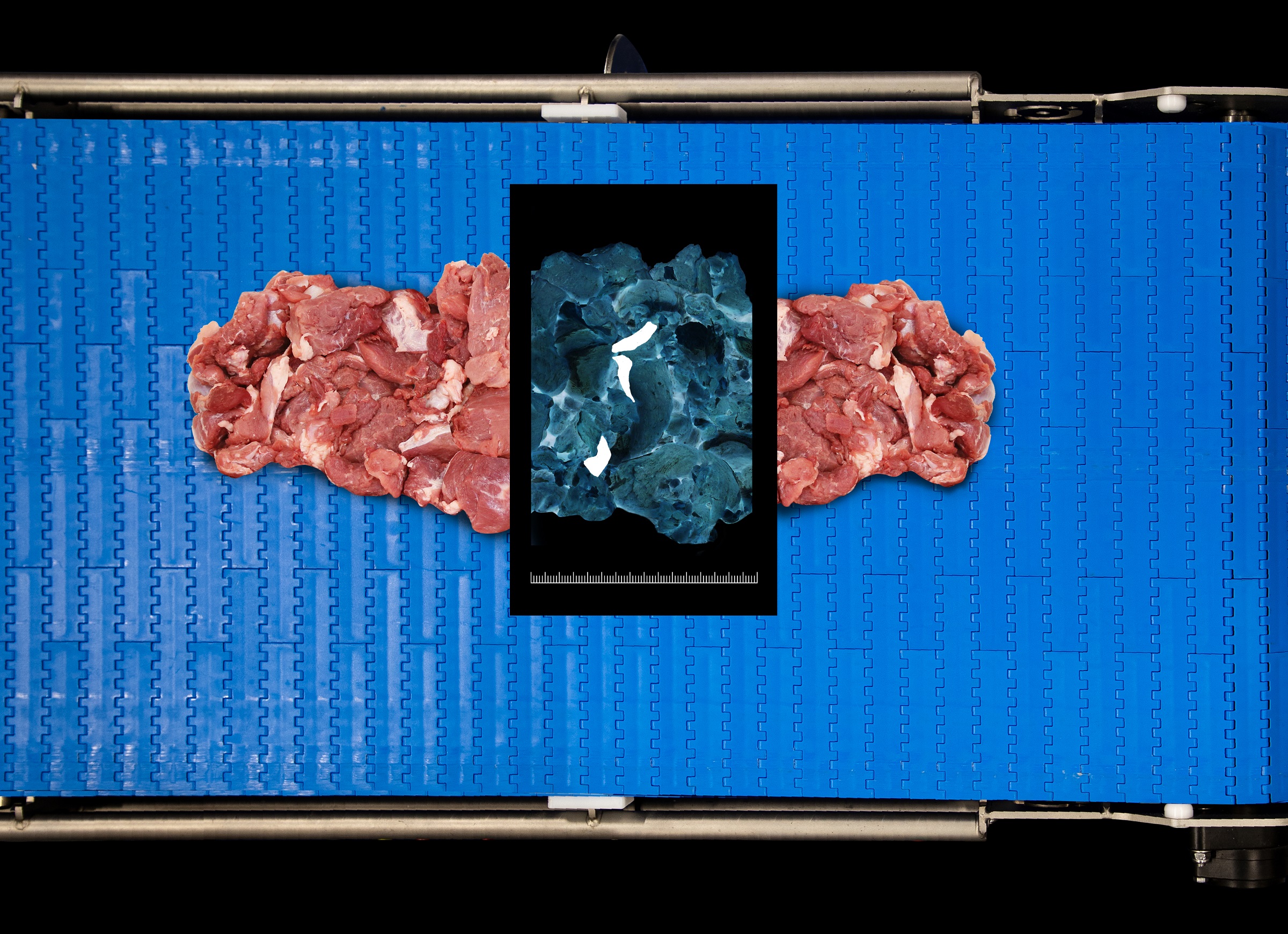 Sensorx X Ray Meat Inspection For Bone Detection