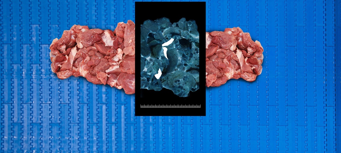 Sensorx X Ray Meat Inspection For Bone Detection
